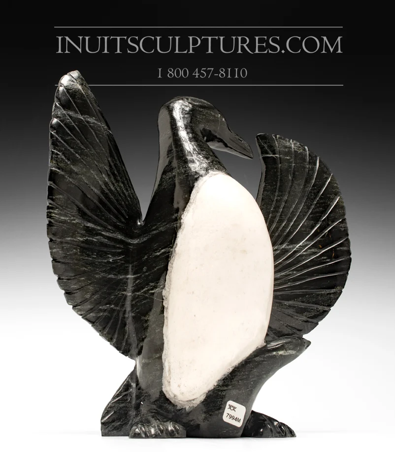 13" Murre Bird Kellypalik Etidlooie