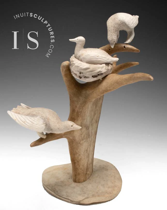 OUD 10" Nesting Birds Samyuallie Tabo *Night Shift*