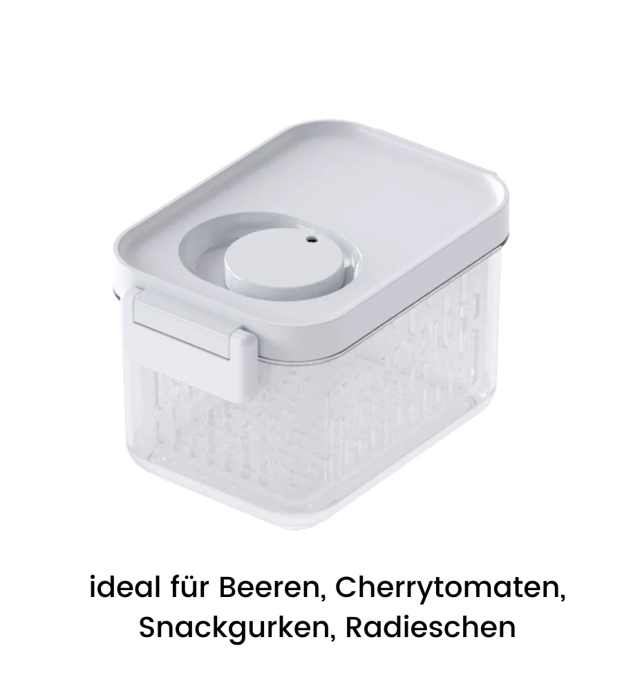 DATEMATE koelbox met houdbaarheids-timer - 17,6 x 11,5 x 10,7 cm (0,9 l)