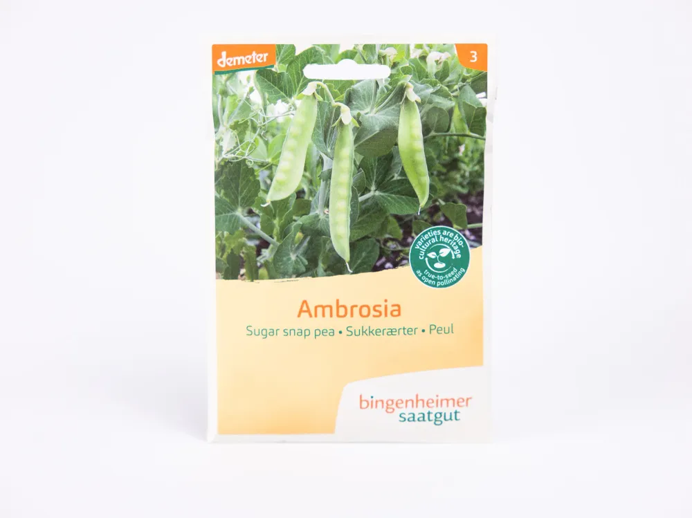 Ambrosia Suikererwt Bingenheimer Saatgut