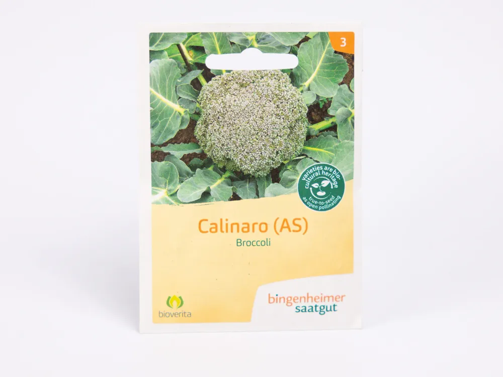 Broccoli van Calinaro Bingenheimer Saatgut