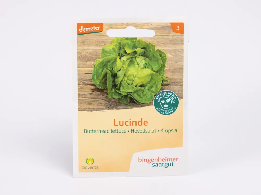 Lucinde Sla Bingenheimer Saatgut
