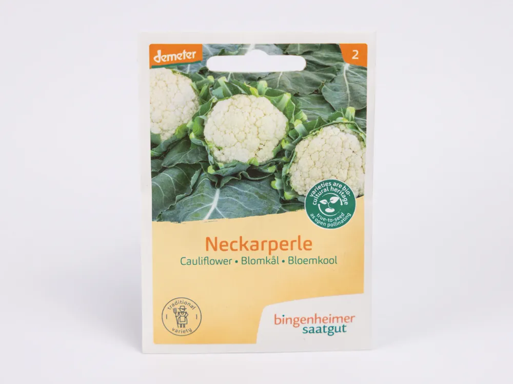 Neckarperle Bloemkool Bingenheimer Saatgut