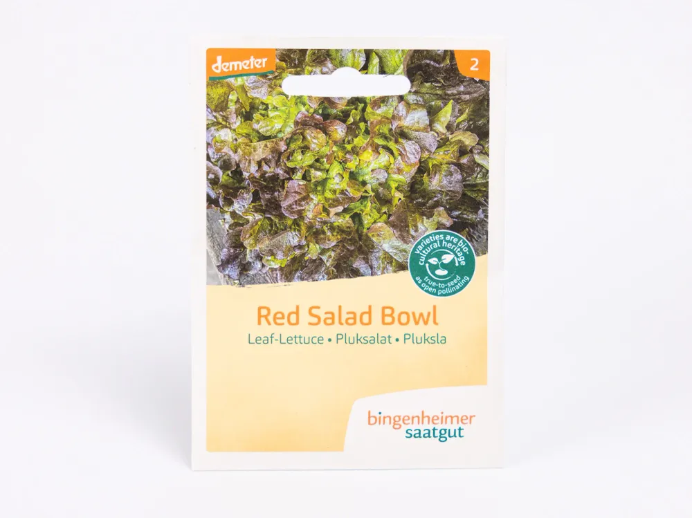 Rode saladekom sla Bingenheimer Saatgut