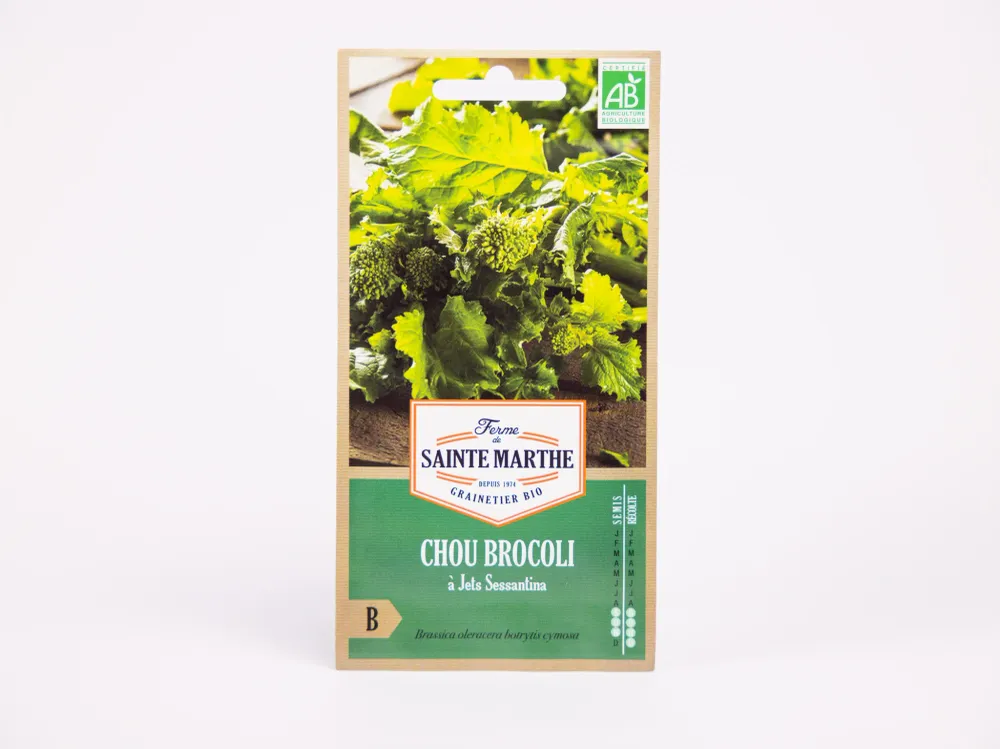 Broccoli van Sessantina Ferme de Sainte Marthe