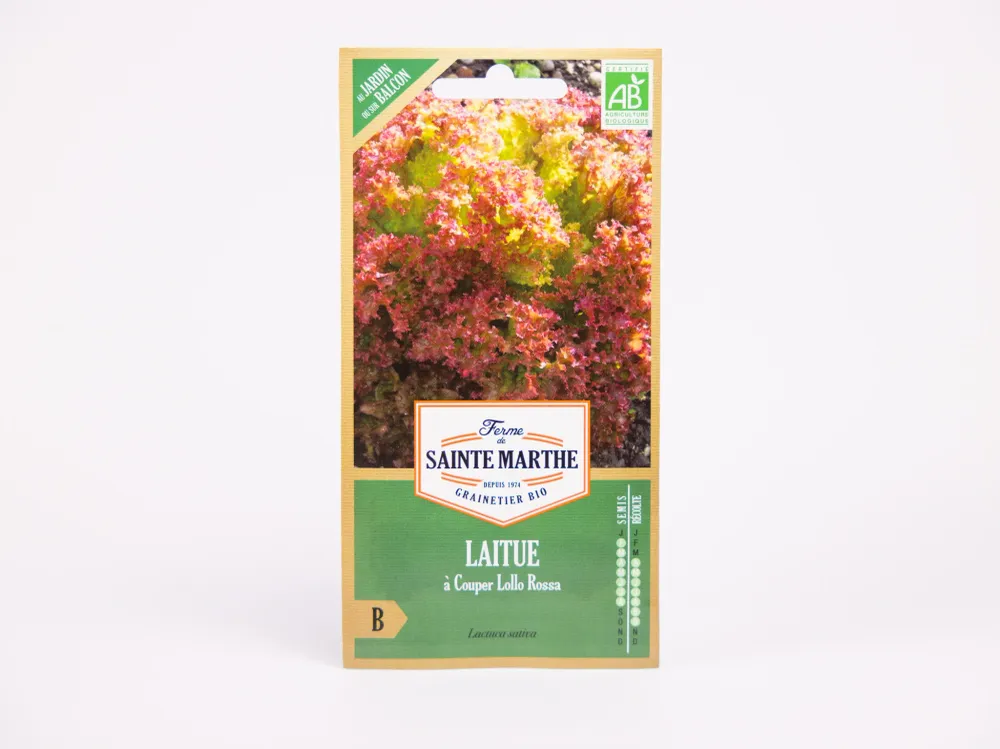 Lollo Rossa-sla Ferme de Sainte Marthe