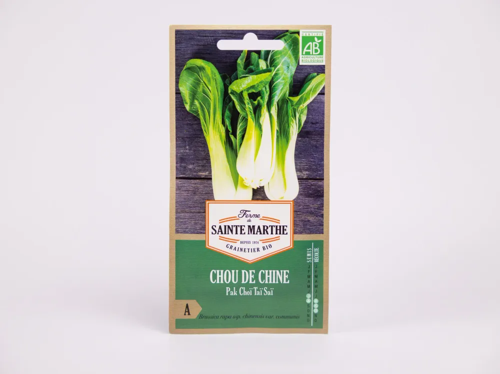 Pak Choi Tai Sai Ferme de Sainte Marthe