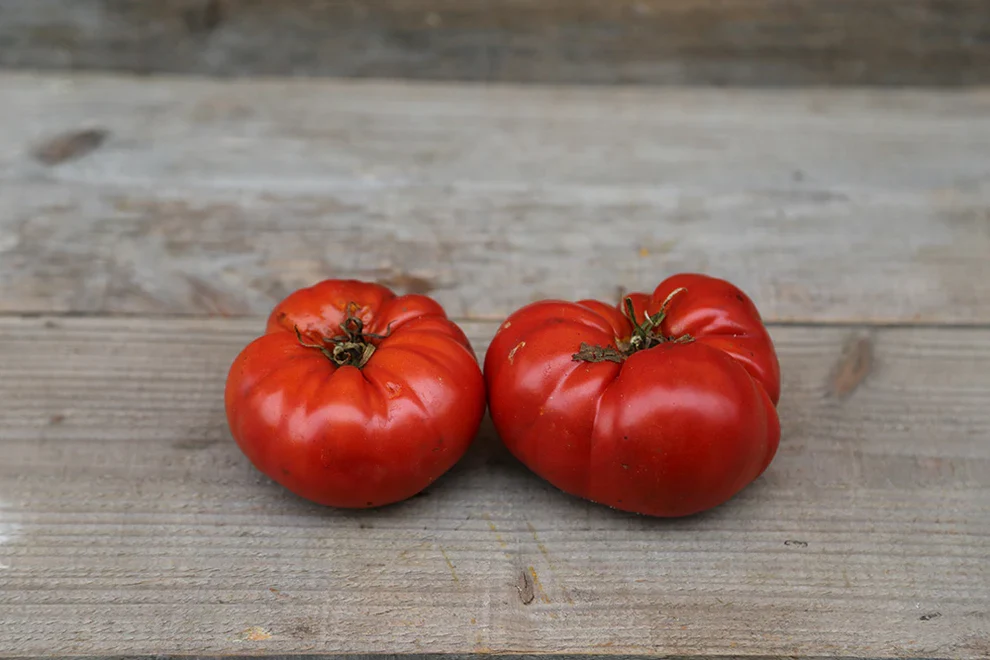 Tomaten biefstuk Ferme de Sainte Marthe