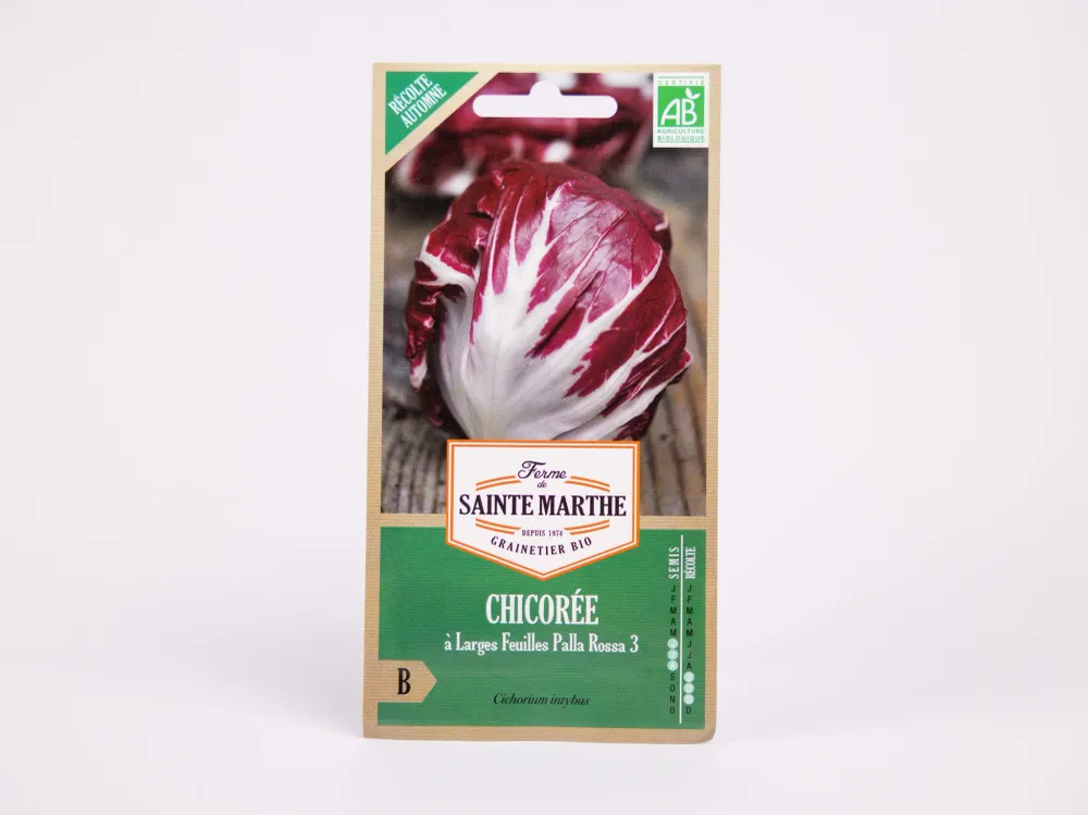 Witlof Palla Rossa Ferme de Sainte Marthe